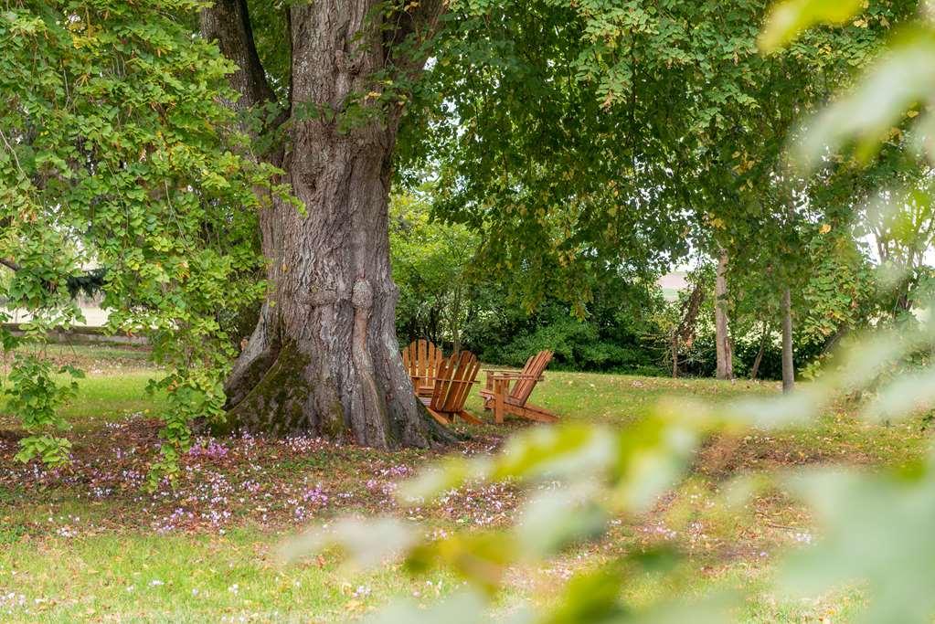 Le Domaine De Mestre, The Originals Relais Фонтевро л'Абе Екстериор снимка